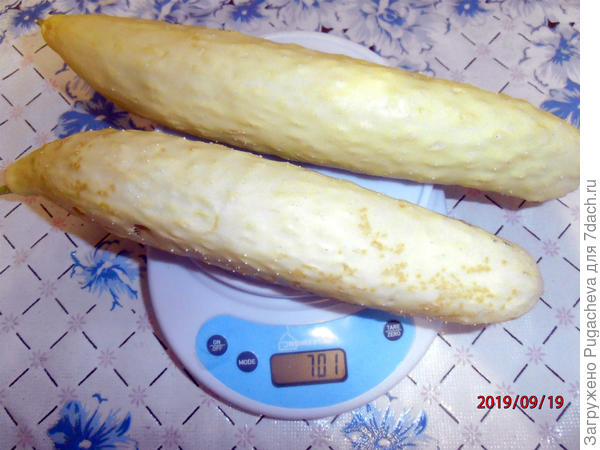 701 гр.