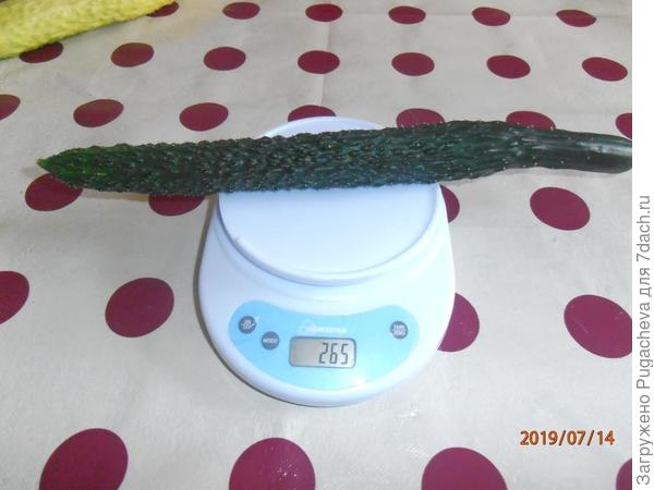 265 гр.