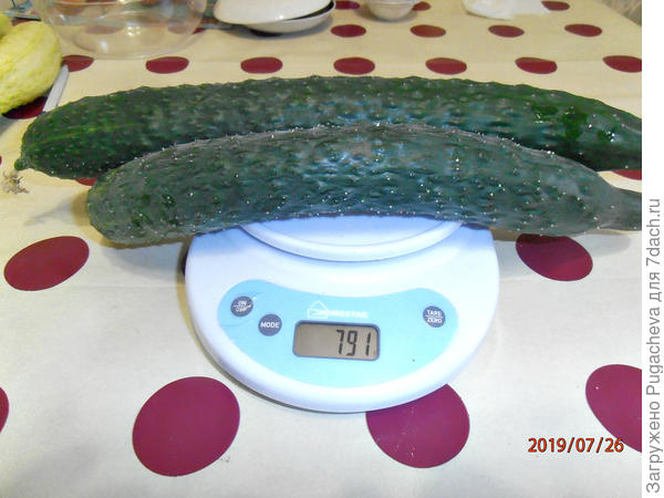 791 гр.