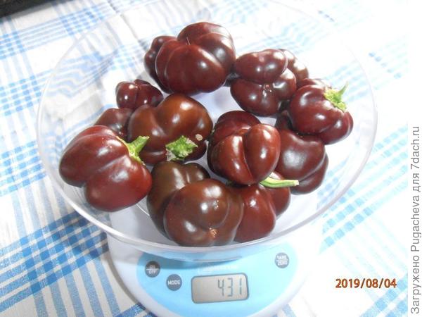 ...шоколадки