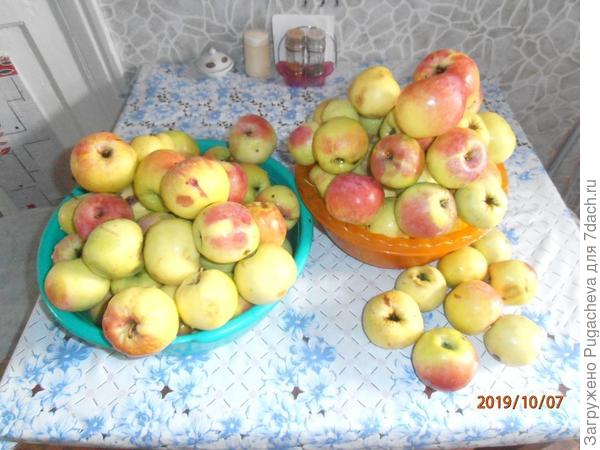 вот на завтра приготовила...