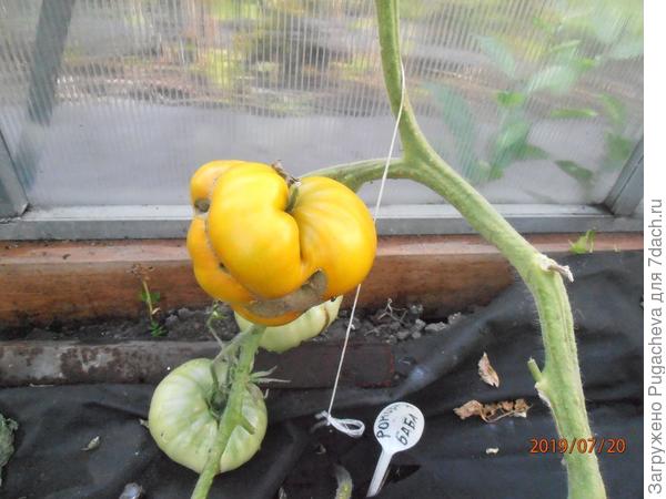 одни из последних