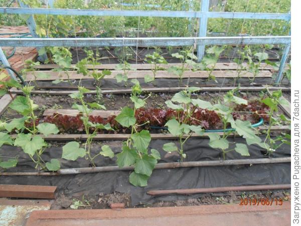 поначалу аккуратненько