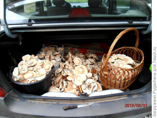 Были грязными,страшными....