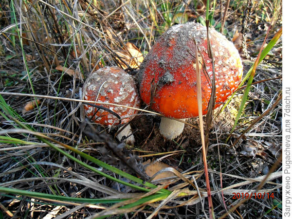 Не успели отряхнуться,а уже позируем...