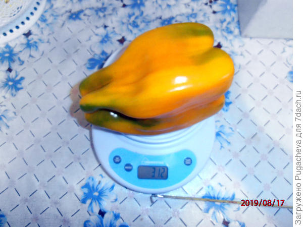 самый крупный