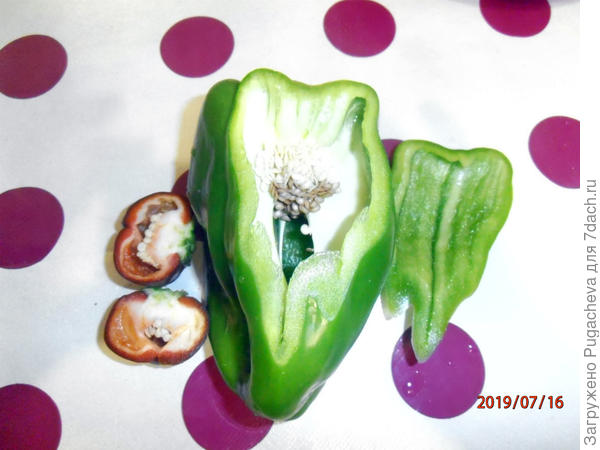 перец в разрезе