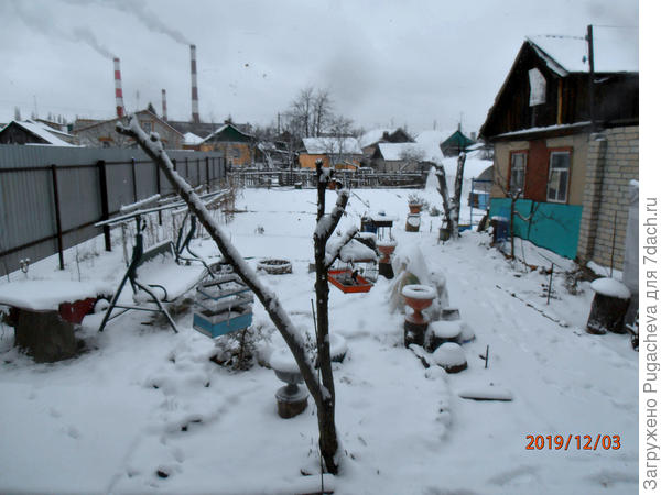 Припорошило и -3,ночью -5.