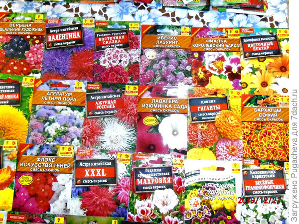 ....ещё цветочки..