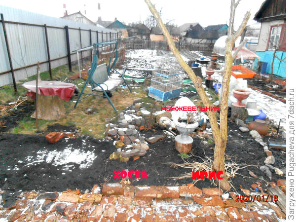 ...последние снимки