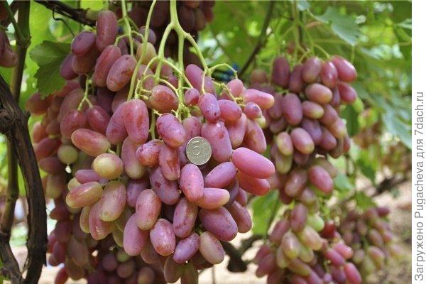 Преображение-пока нашему 1 год.