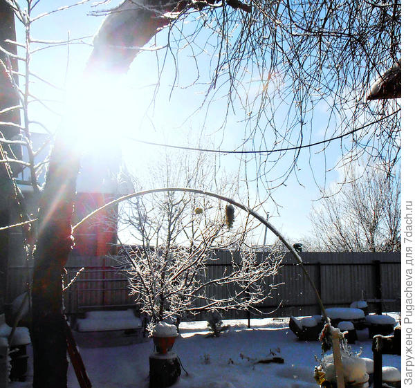 Зимнее утро....