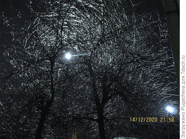 Вишни во льду.