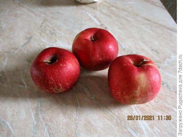 ....мельба 26 января.