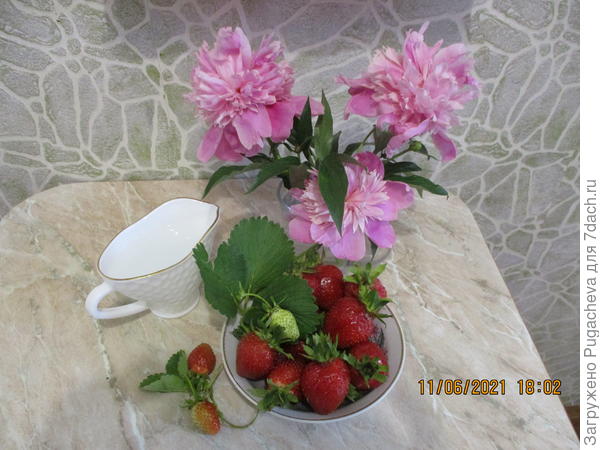 ...а это со сливками.