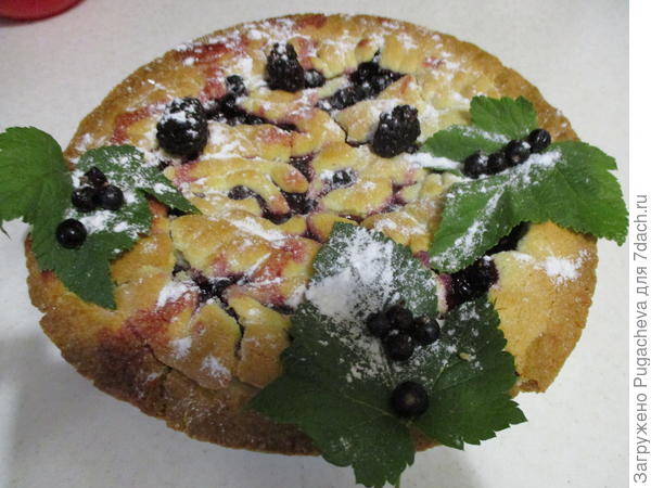 песочный с чёрной смородиной