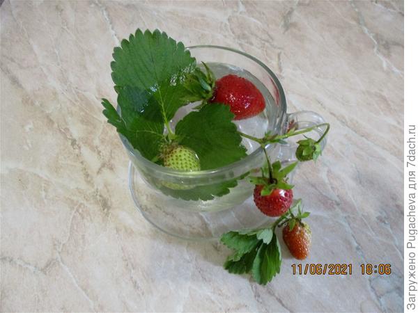 ...фотосессия.