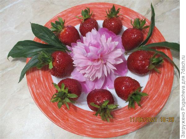 Просто для души.