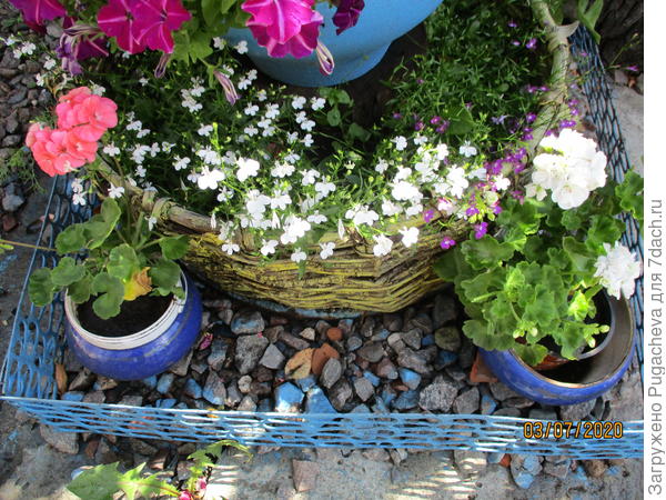 а это белая и розовая...