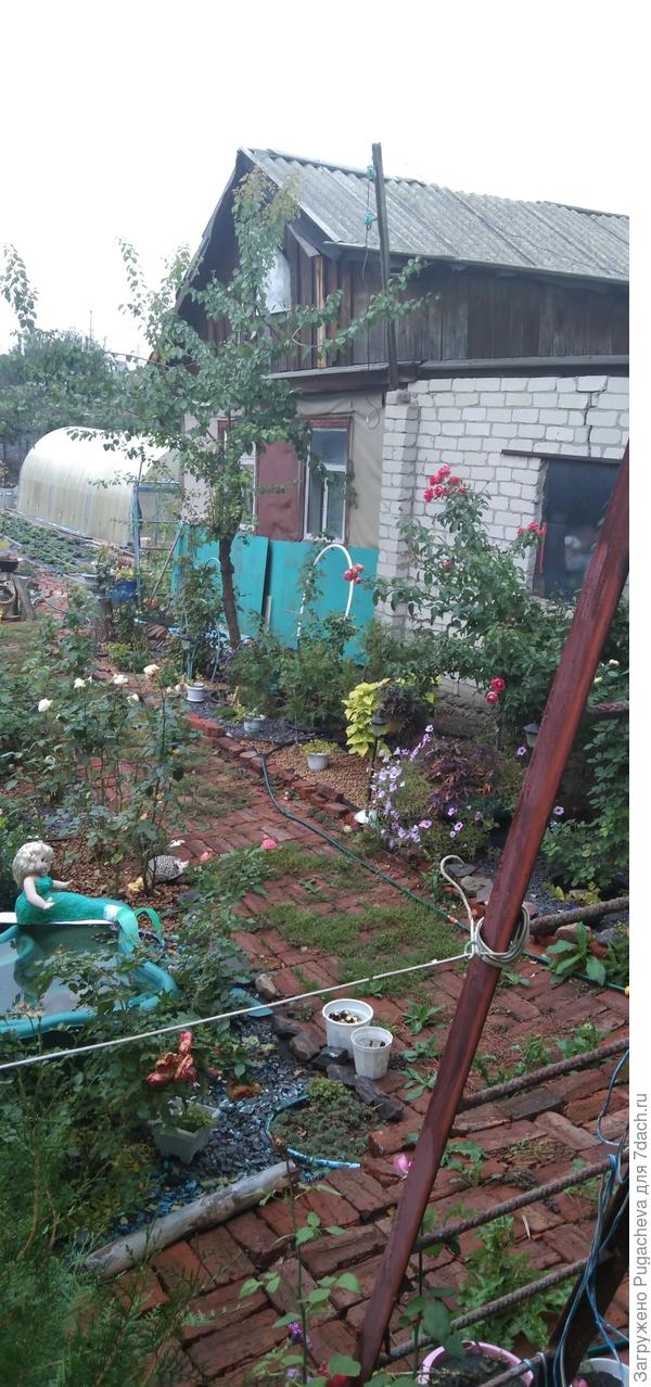 Из окна спальни...