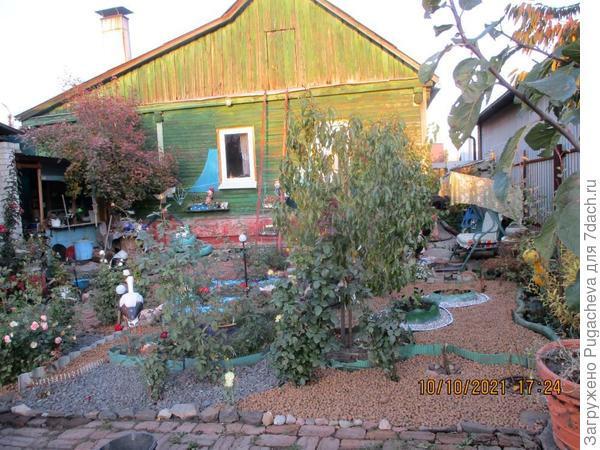 То же самое сделали под остальными розами.