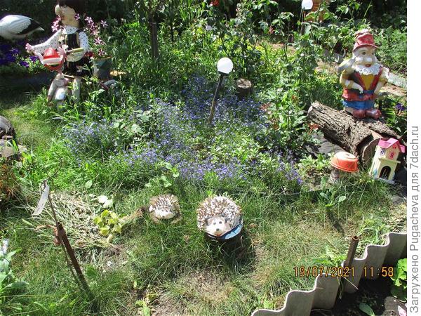 Неухоженый газон.