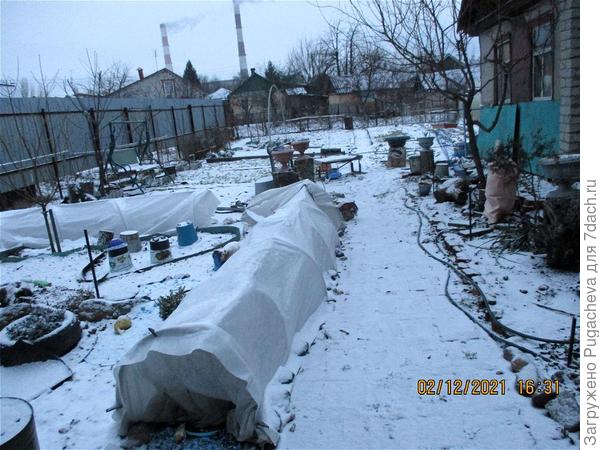 Вот зима 2021.