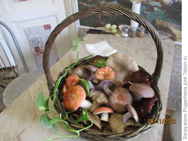 Последний урожай...