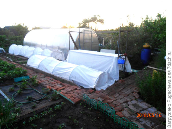 Общий вид весной.