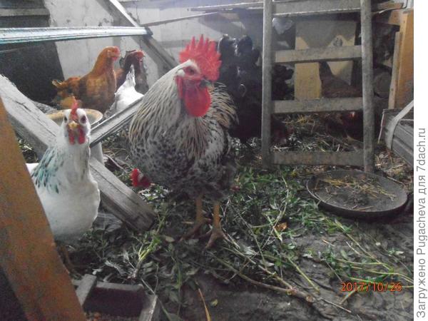 Тут мы уже взрослые.