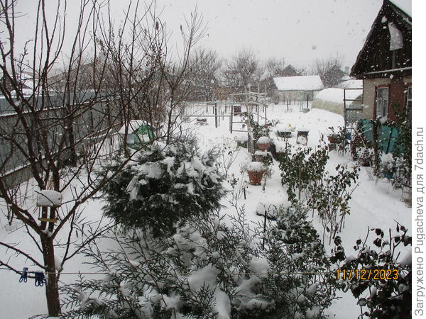 Ветки деревьев все в ледяных бусинах,а снег сыпет хлопьями