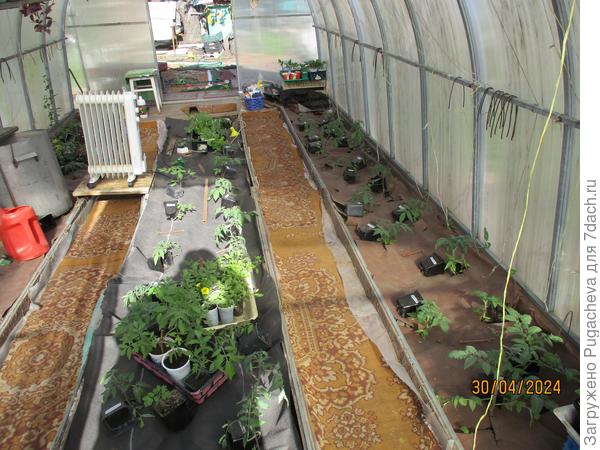 ...в теплице