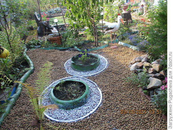 Осень 2021года