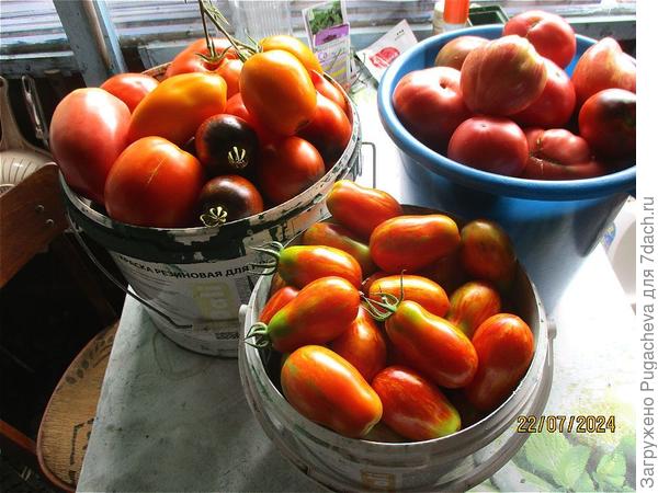 Собирайте богатые урожаи.