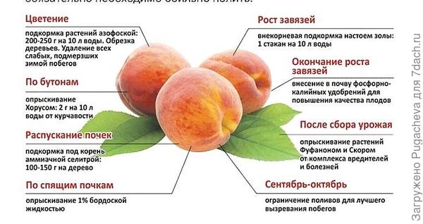 Примерная таблица.