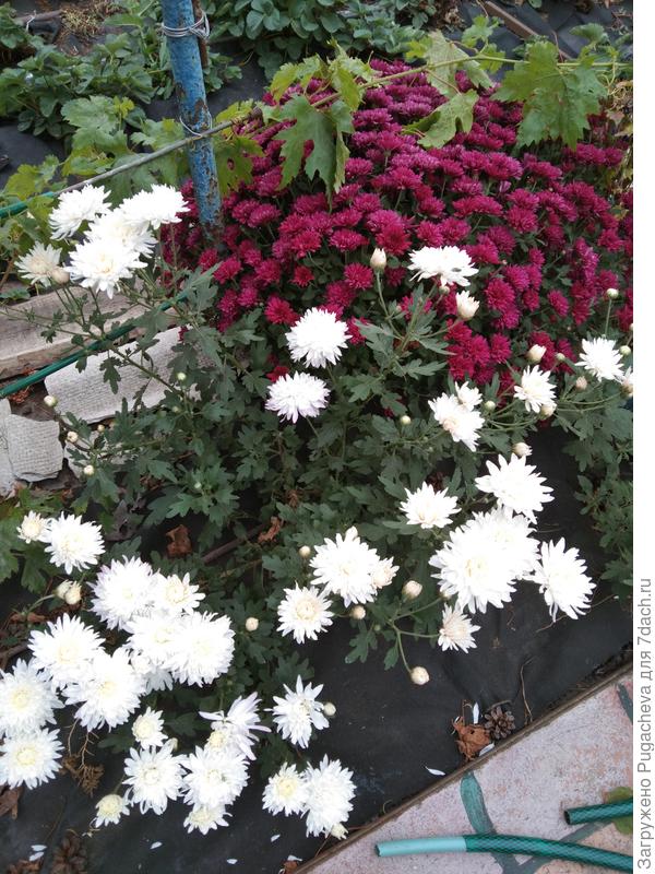 ...с другой стороны.