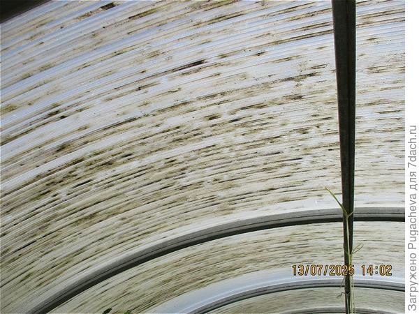 Вот что она из себя представляет.