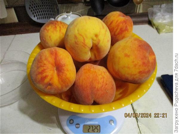 Очень вкусные персики.