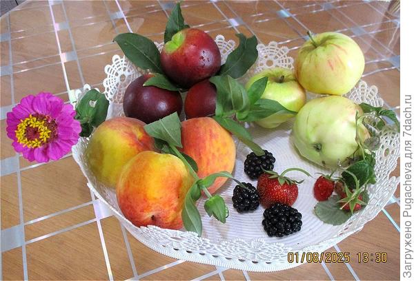Фруктовая корзинка начала августа.