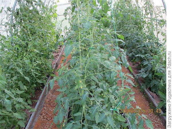 ....это июнь.