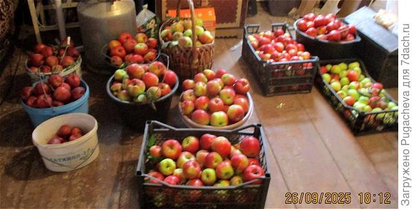 ...а это 2025г.