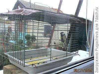 ...не хотят позировать.