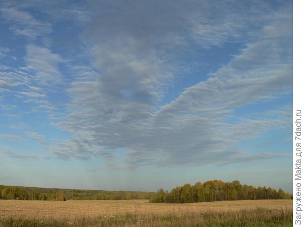 осень костромская