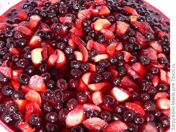 черноплодка с яблоками&quot;Долго&quot;