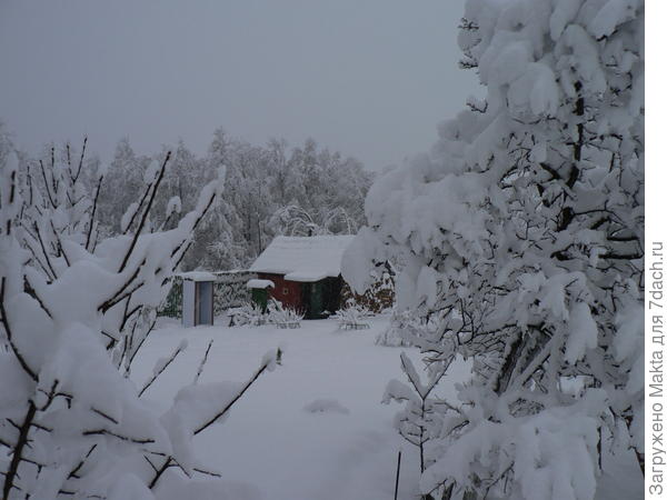 ноябрь 2013