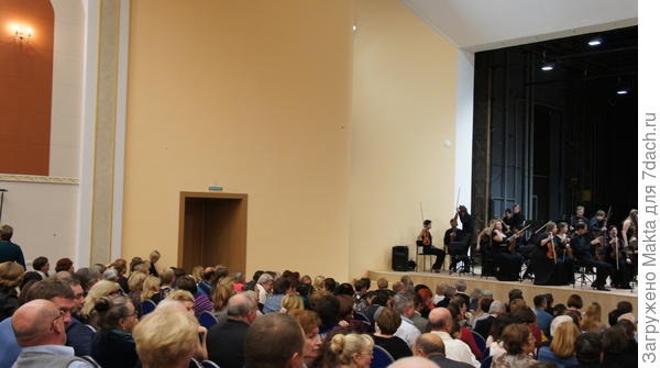 лысина губернатора