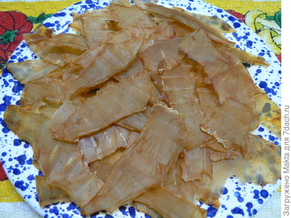 кальмары