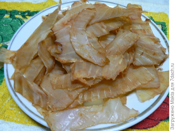 кальмары