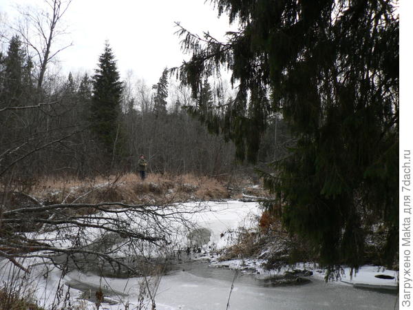 пес