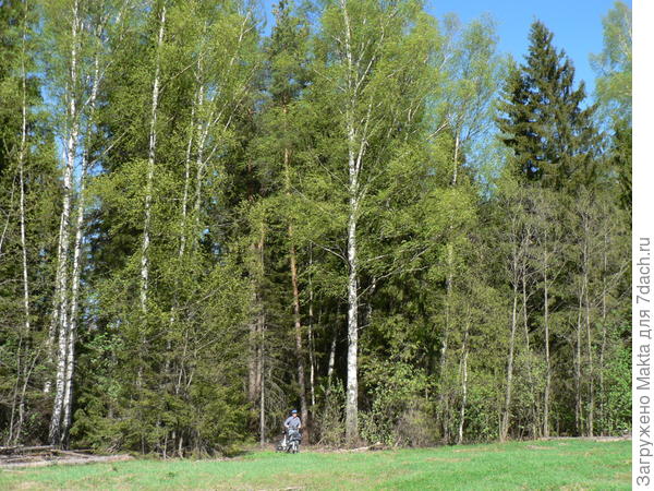 весна 2014